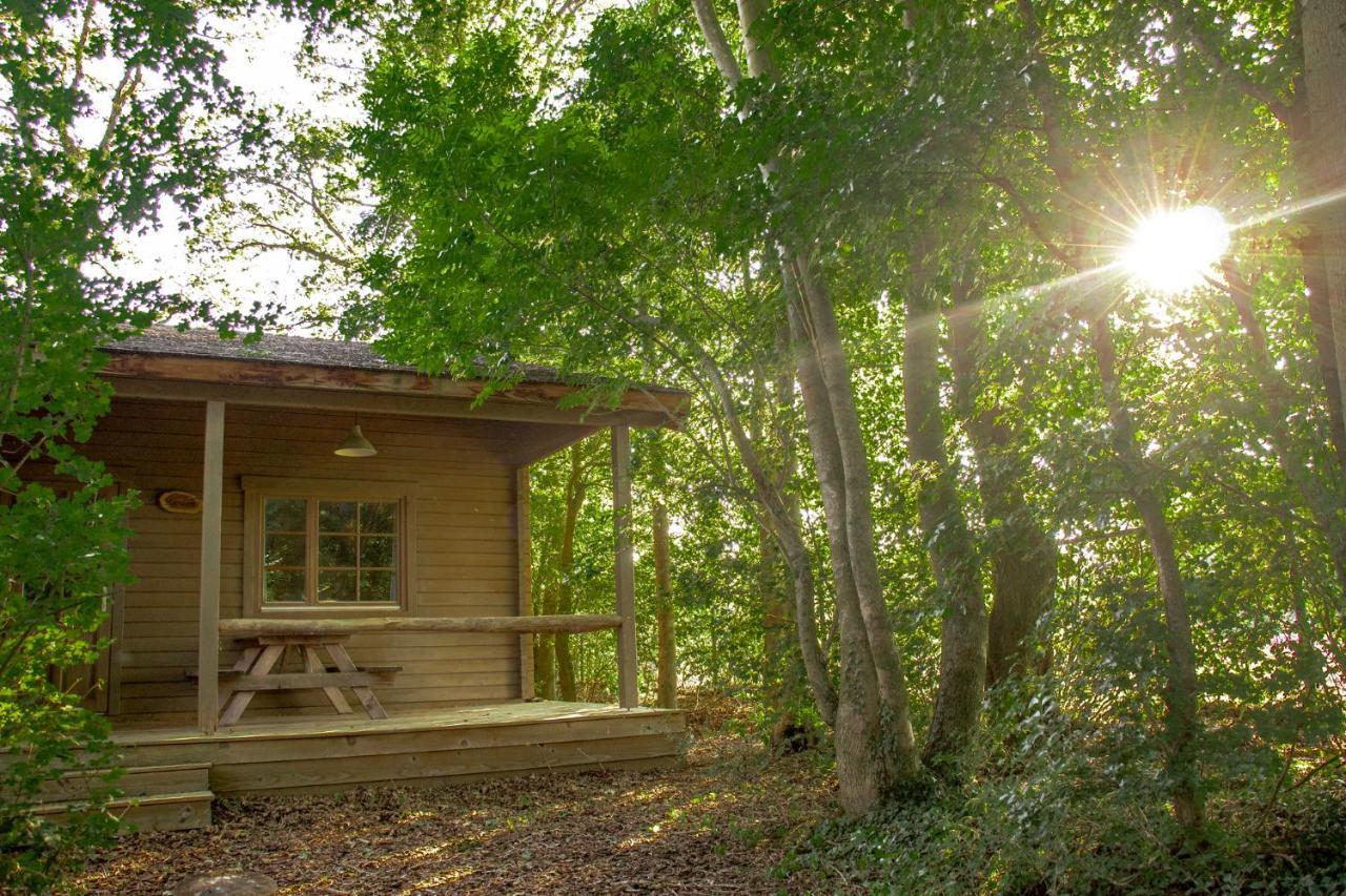 Het Hilkensberg Park Villa Broekhuizen  Екстериор снимка
